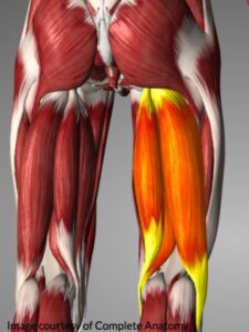 How to Deal with Hip Flexor Pain